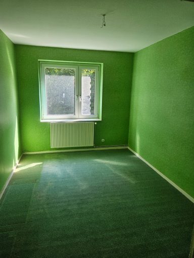 Leerer Raum mit grünen Wänden, Teppichboden und einem Fenster, das Licht hereinlässt.