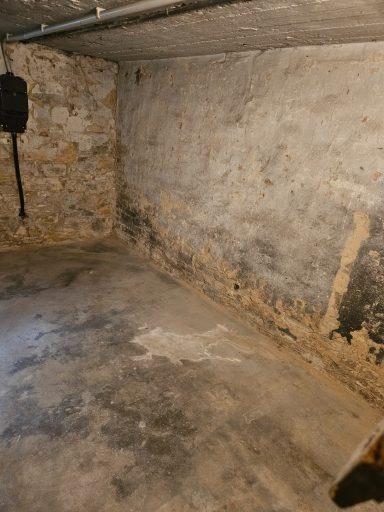 Leerer, grauer Keller mit steinernen Wänden und unebenen Bodenbelag.